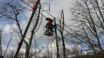 20160226_141631.JPG